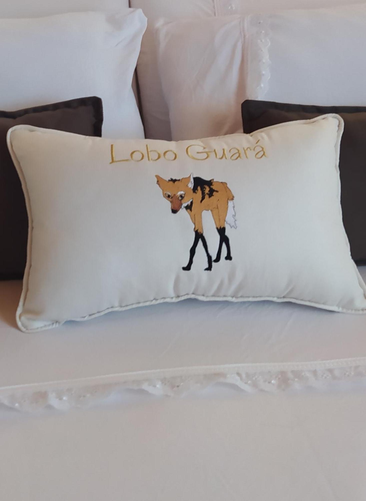 Lobo Guara Hospedagem Loft Alto Paraíso de Goiás Zewnętrze zdjęcie